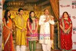 at Zee Tv_s Yahan Mein Ghar Kheli serial music launch in Film City on 10th Nov 2009 (5).JPG